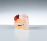 �w�C�g�[���[�J�h�[�̃N���X�}�X�x��N���2�T�ԑ����\���t�X�^�[�g�A�t�����{���[�Y�̃V���[�g�P�[�L�����o�� 