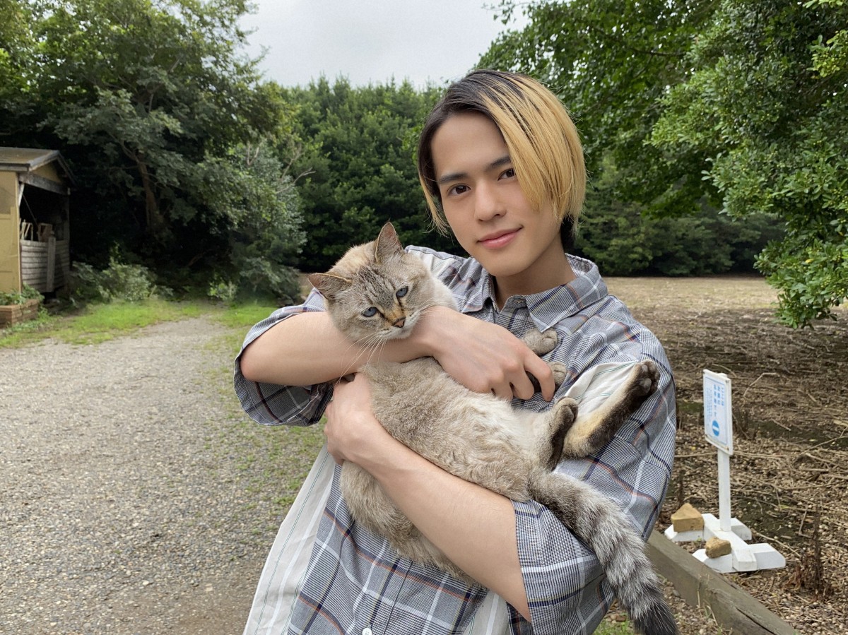 wӂӃttxɏo鉜s(C)NHK 