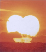 2000NAo1ʊli:TUI[X^[Y wobh3`the album of LOVE`x 