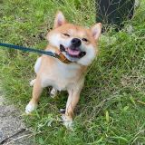 �Ő��̗΂̍���Ɏ䂩���̂͂Ȃ��H ���ނ炩�瓮���Ȃ��h���ی��h�Ɂu�������ē{��܂���ˁv 