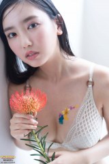 ������؁A�炫�ւ�O���r�A�Ŗ�����V���n�@�����{�f�B�������̂������������� 