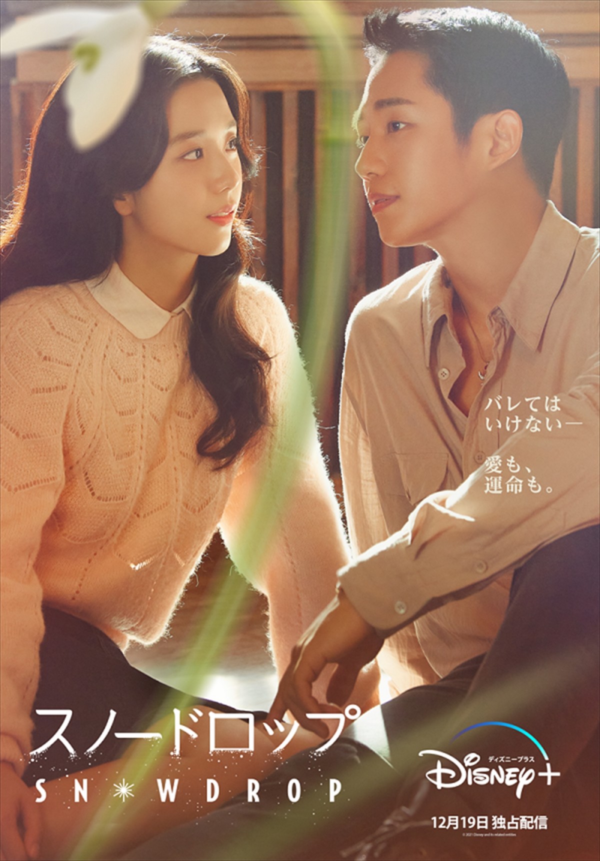 韓国ドラマ スノードロップ プレミアム版 ブルーレイ チョン・ヘイン,ジス Korean Drama Snowdrop Blu-ray Kimzis Jeonghein Complete