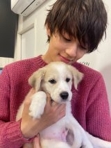 ����E�l�A�ی쌢�́g�a����{�����e�B�A�h�ɒ���@10���Ԃ̋���������悪�X�^�[�g 