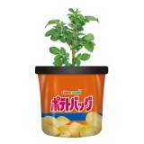 �J���r�[�A�g�܂ň�Ă邶�Ⴊ�����h���� �J������3�N�A���S�҂��ȒP�ɍ͔|���\ 