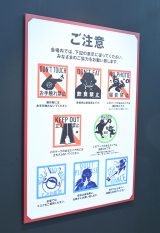 �l�C����w�|�̘B���p�t�x20���N�L�O����W�w�|�̘B���p�t�W PETURNS�x������̖͗l�iC�jORICON NewS inc.�iC�jHiromu-Arakawa�^SQUARE-ENIX 