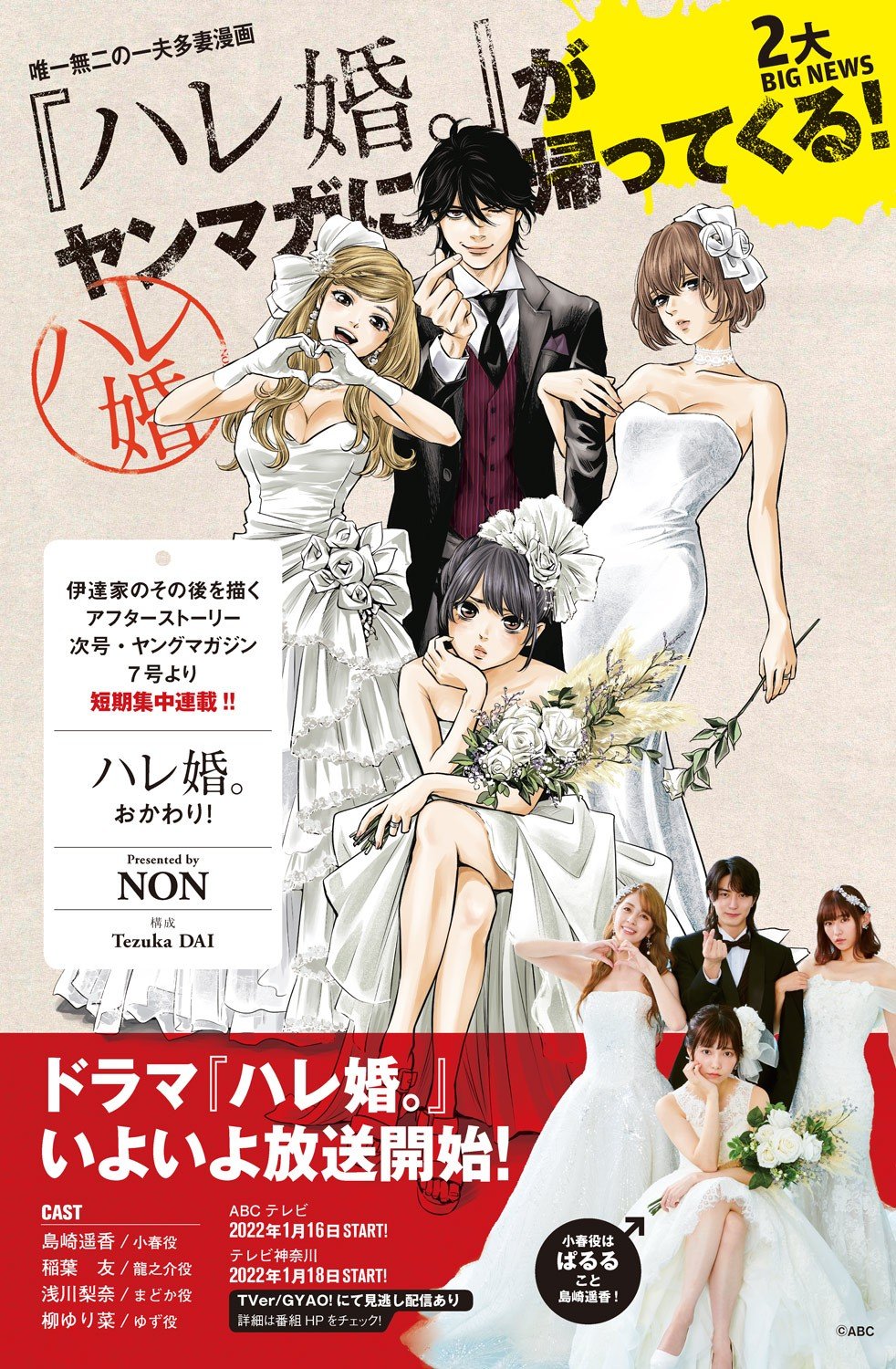 週刊ヤングマガジン 2014年 NO.30 新連載 ハレ婚 週刊ヤングマガジン 2014年 NO.30 新連載 ハレ婚（週刊ヤング