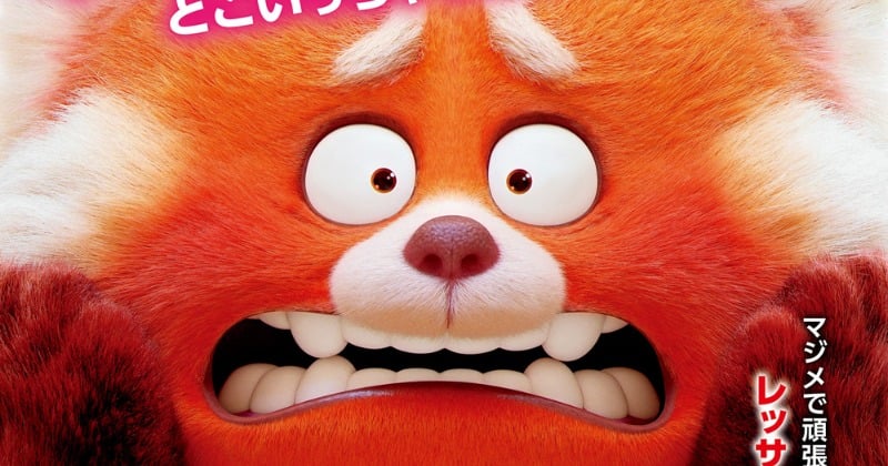 529f82553859e893.jpg