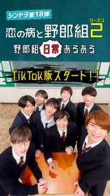 恋の病と野郎組』TikTokがスタート キャスト12人の“アクスタ”などグッズも発売 | ORICON NEWS