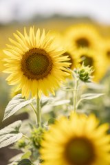 Netflix�V���[�Y�w�������L�xPage.8��ʃJ�b�g 