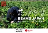 �w�����₷ BEAMS JAPAN �`�H�̃J���`���[�ƃX�^�C����`����`�x���X�^�[�g 