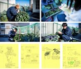 �wBEAMS JAPAN���x�̓��L�����J 