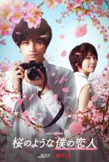 Netflix映画『桜のような僕の恋人』キーアート（C）Netflix 