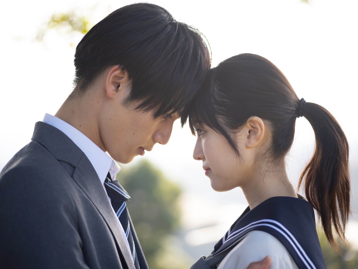 君が落とした青空 DVD 3枚組 ストラップ付き 松田元太 福本莉子 君が落とした青空 DVD 3枚組 ストラップ付き 松田元太 福本莉子
