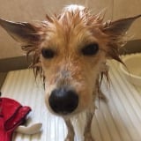 �u�����C�Ƃ��A����Ă��ˁ[�v�u����ł��v���̊F����C��t���āc���C�����̌�����̃��b�Z�[�W 