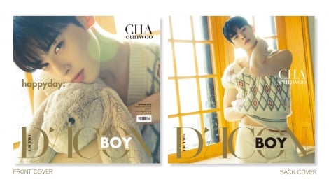 Dicon BOY ISSUE NK1 `Ekʐ^Wwhappyday:xB-type 