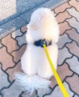 �M���҂��ŁA������肵�Ă������̌��p���z���ȏ�ɂ��ꂢ�������u�ӂ�ӂ�ȓ��c�v�u�G�肽���v 