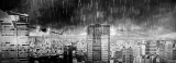 『Tokyo Rain』監督:Michel Wild 