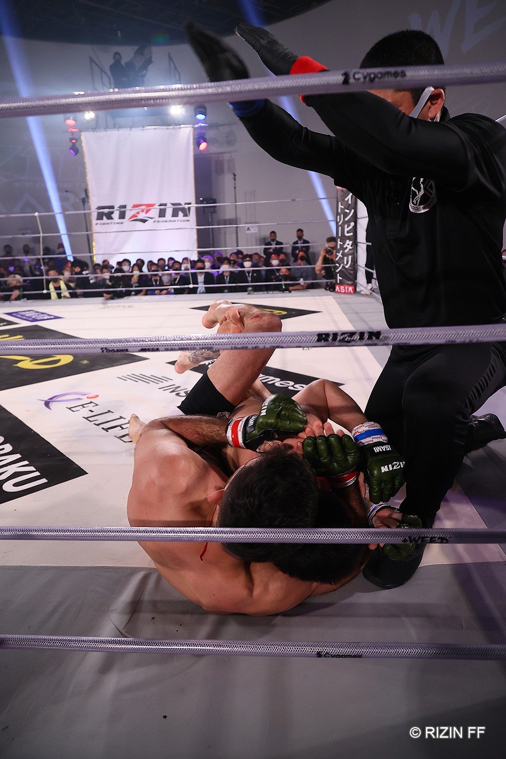 画像・写真 | 【RIZIN】クレベル・コイケ「本物のチャンピオンになりたい」 朝倉未来との再戦も？「それは逃げられない」 2枚目 | ORICON  NEWS