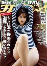 �w�T���v���C�{�[�C�x23���ŕ\��������V���R��iC�j�A���f�B�E�`���I�^�T���v���C�{�[�C 