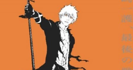 Bleach 10年ぶりtvアニメ化記念でセレクション放送決定 ユーザー投票開始 Oricon News