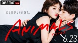 ABEMA新作オリジナルドラマ『ANIMALS‐アニマルズ‐』サブビジュアル(C)AbemaTV, Inc. 