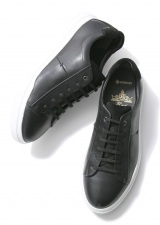 �r�W�l�X�t�@�b�V�����A���C���V���[�Y�̍œK����? �}�h���X�ЂƃR���{�����w�h���r�W�l�X�X�j�[�J�[�x����  