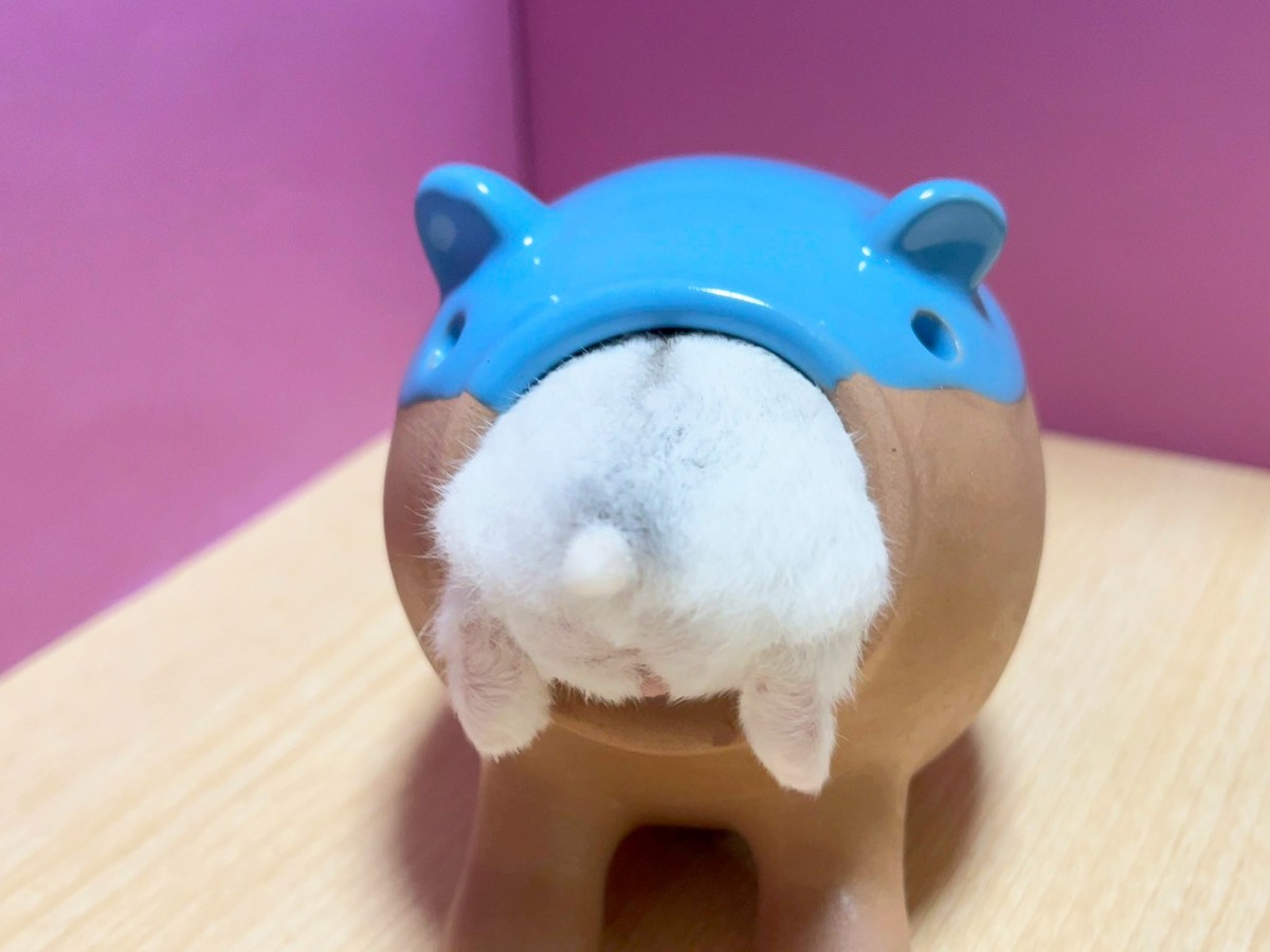 すーだちゃんです♪ たすけて～（ジタバタ）」ハムちゃんあわやの緊急事態も、SNS
