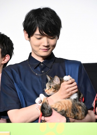 画像・写真 | 大の“猫好き”古川雄輝、かわいすぎる猫登場でにやけ顔 猫