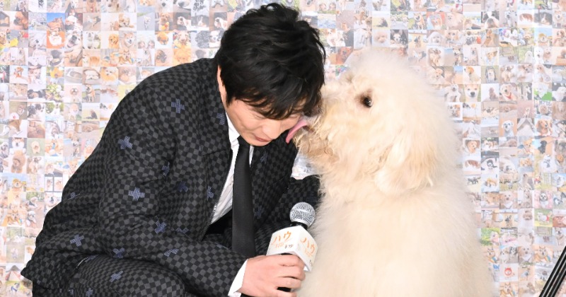 田中圭 共演する俳優犬と舞台あいさつ登場 犬の通訳するもなめられる珍事 Oricon News