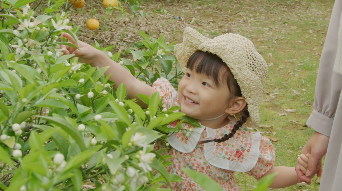 画像・写真 | 4歳歌姫・村方乃々佳ちゃん、昭和の童謡集「きいてねー」 「みかんの花咲く丘」などMV3本一挙公開 3枚目 | ORICON NEWS