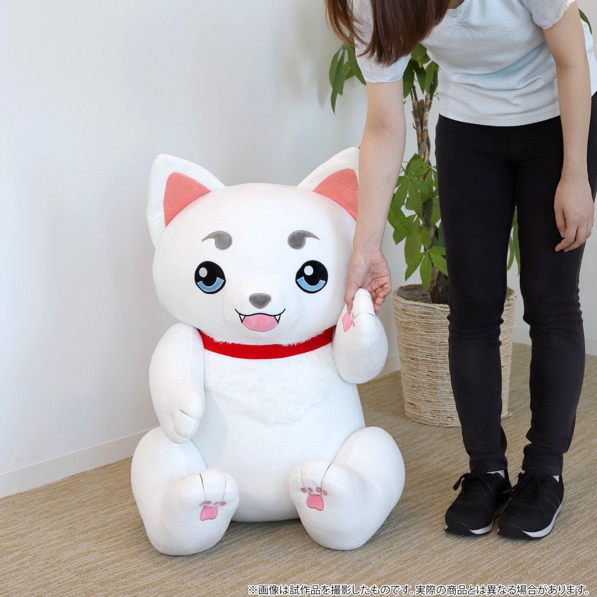 [写真17枚有] 銀魂 むにゅぐるみ 神楽 定春 サンリオ 写真17枚有] 銀魂 むにゅぐるみ 神楽 定春 サンリオ 写真17枚有] 銀魂