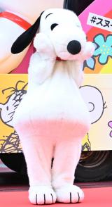 �wSNOOPY HAPPINESS FROAT 2022�x�o����PR�C�x���g�ɓo�ꂵ���X�k�[�s�[�iC�jORICON NewS inc.�iC�j2022-Peanuts 