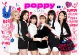 K-POP6lgSTAYCVOuPOPPYvœ{fr[ WPbgʐ^ꋓJ(ʐ^͏A) 