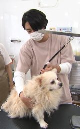 ���t��I�A�g�v�����݁h�ی쌢�g���~���O �D�������t�Ŋ��Y���u�|���Ȃ���v 