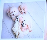 ����ŎB�e�������̃j���[�|�[���t�H�g=�w���܂Ђ� �t�@�~���[�p�[�N2022�x�X�y�V�����g�[�N�V���[ �iC�jORICON NewS inc. 