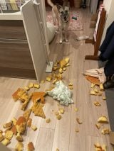 �Ȃ�Đ��X������c�C�^�Y���̐��ʂ�񍐂��錢�Ɏ����傳������u��������������󂯎���Ĉ���Ă��܂��v 