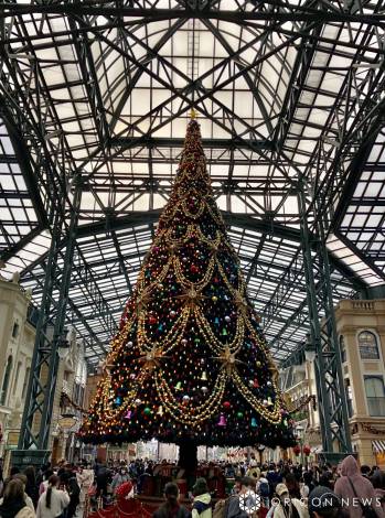 �w�f�B�Y�j�[�E�N���X�}�X�x�g3�N�Ԃ�h�J�� �iC�joricon ME inc.