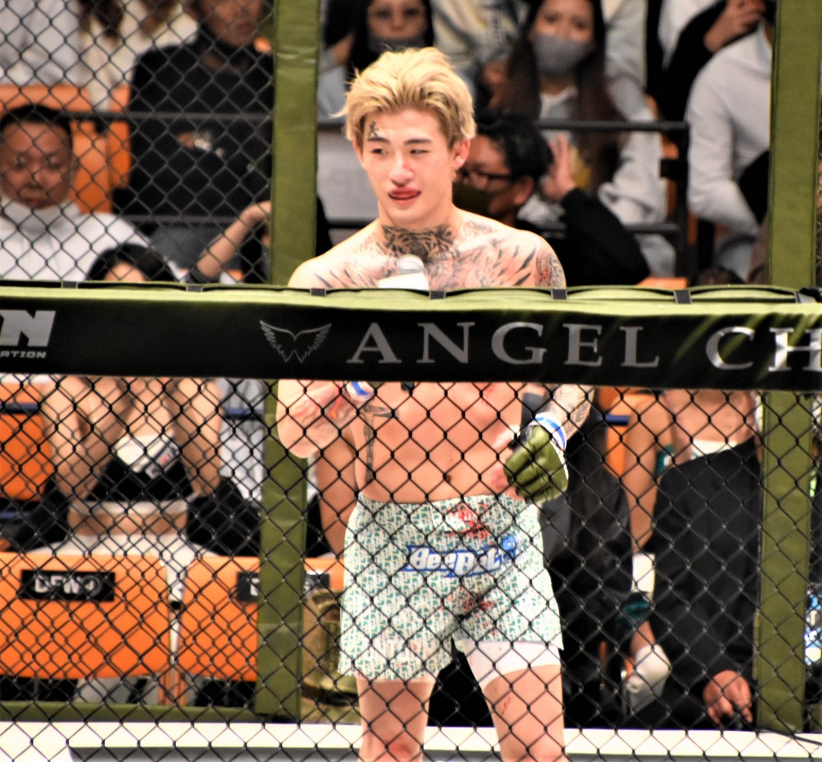 画像・写真 | 【RIZIN】MMAで2連勝の平本蓮 空手を基本に自分の