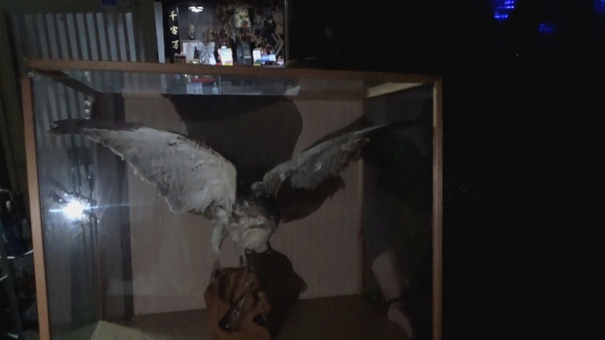 8wq[}O^[ IE}Xxuӂ낤v̔(C)er 