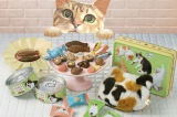 “猫好きコミュニティ”を盛り上げる新チョコレートブランド 『ねこみゃみれ』 
