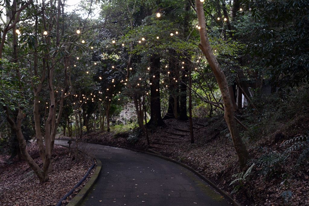 wRRR~bNx~wӂ邳Ɣ[ŁxX^[g 