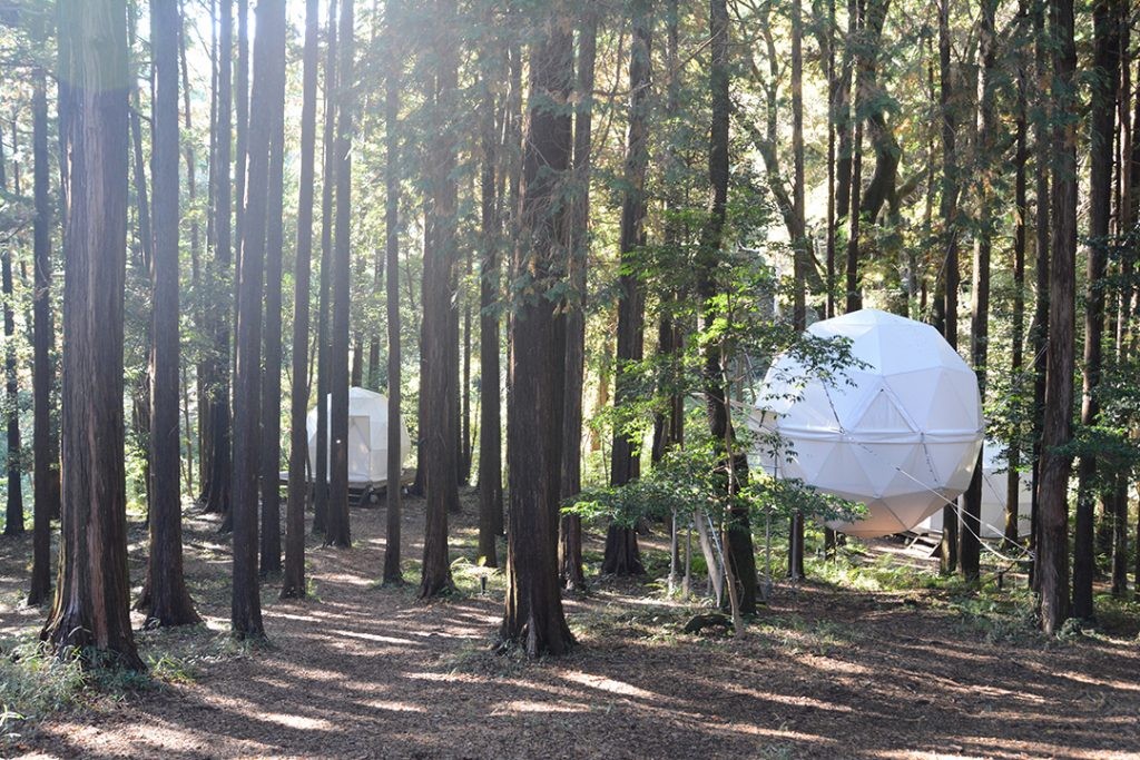 wRRR~bNx~wӂ邳Ɣ[ŁxX^[g 