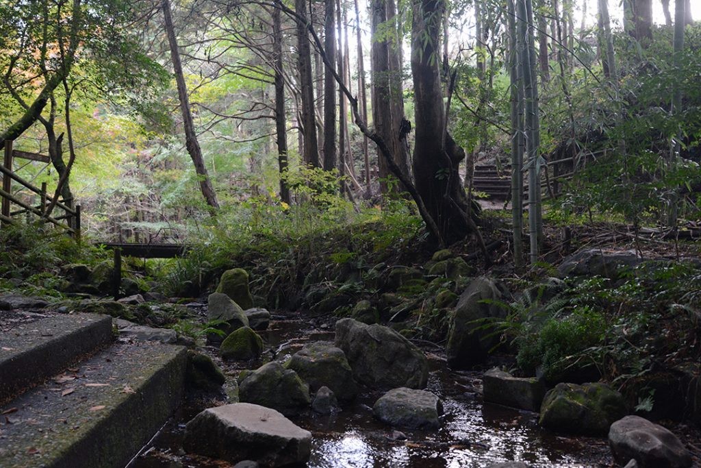 wRRR~bNx~wӂ邳Ɣ[ŁxX^[g 