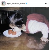 ���c�Ђ��i�摜�̓C���X�^�O�������j 