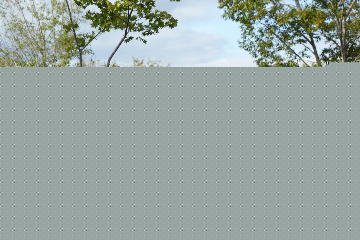 13wVS Of[V 2023ؐVt3SPxœfBYj[][g֖Kꂽo[ (C)tWer (C)Disney (C)Disney/Pixar 