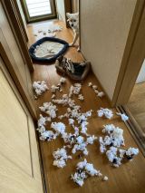 �܂����ƂɁh����h���~��Ȃ�āc�����傳��̐�]�u�ǔh��ɂ�����ȁB�̈ꌾ�ł��v 