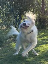 ���肢������S��CG���ƌ����āc�V��ł���h�ŋ��]���r�h�ɂȂ��Ă��܂����������u�����グ�ď΂����v 