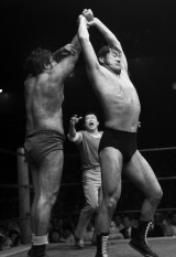 �w�i�v�ۑ��� �A���g�j�I���ؑS���� �p�[�t�F�N�g�f�[�^�u�b�N�x���@�ʐ^/�����X�|�[�c�V���� 