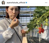 �����������y���ޕ��c�ʔT�i�ʐ^�̓C���X�^�O�������j 