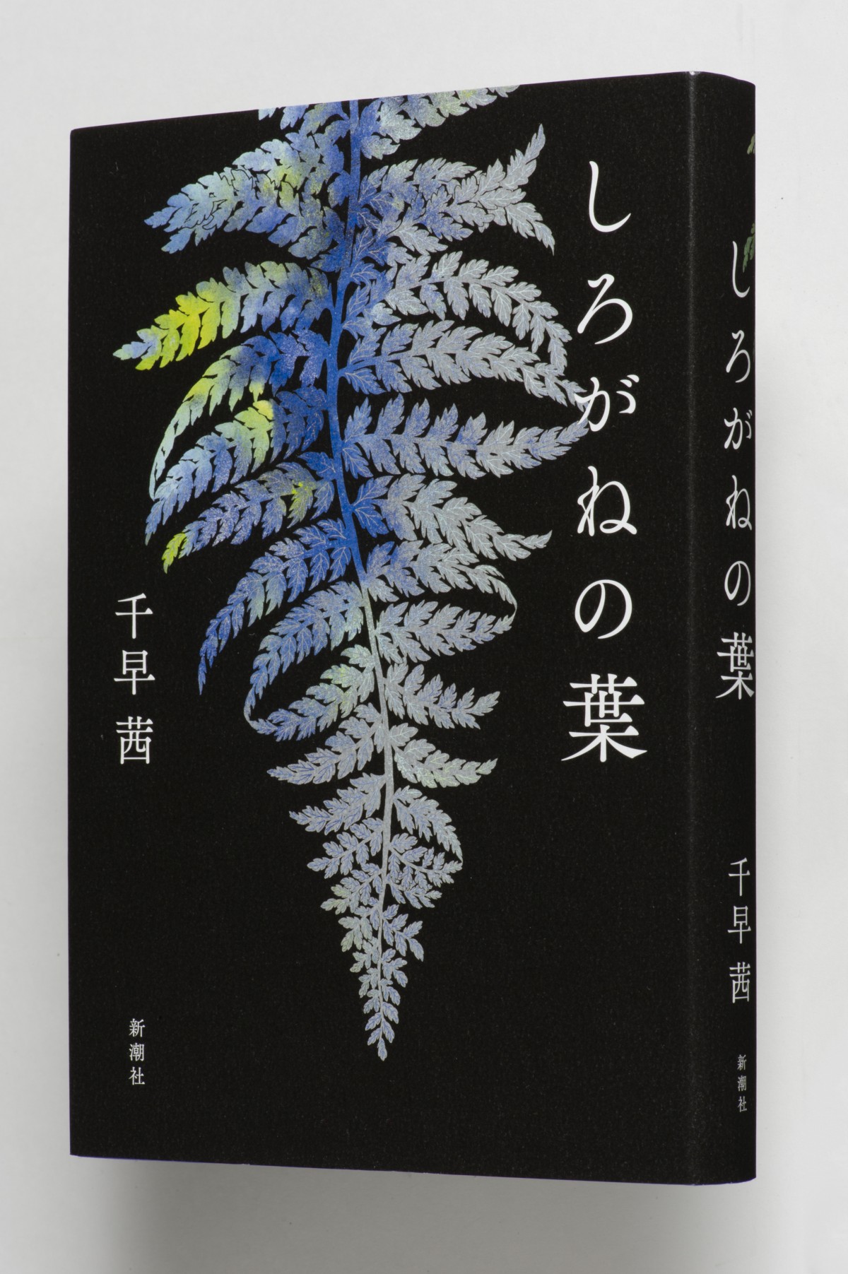 画像・写真 | 第168回『直木賞』は小川哲『地図と拳』と千早茜